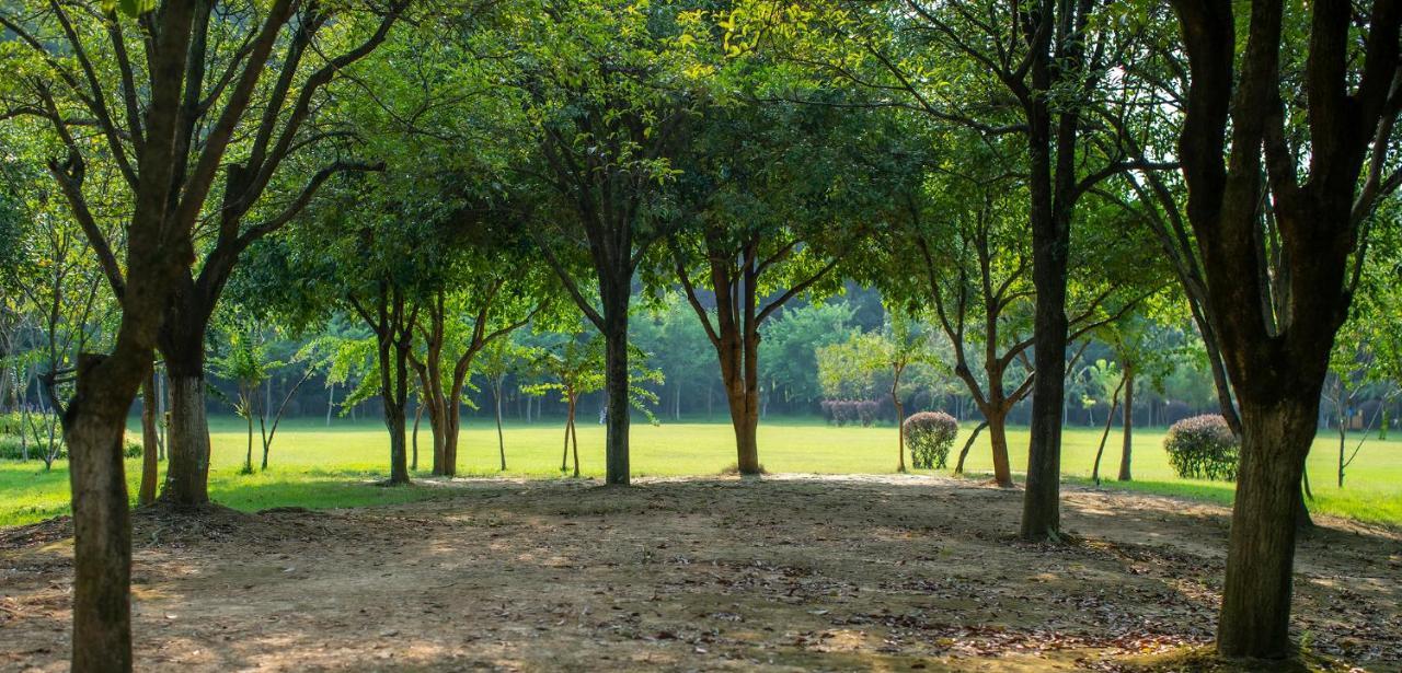 Guilin Yi Characteristic Hotel Coltd Bagian luar foto
